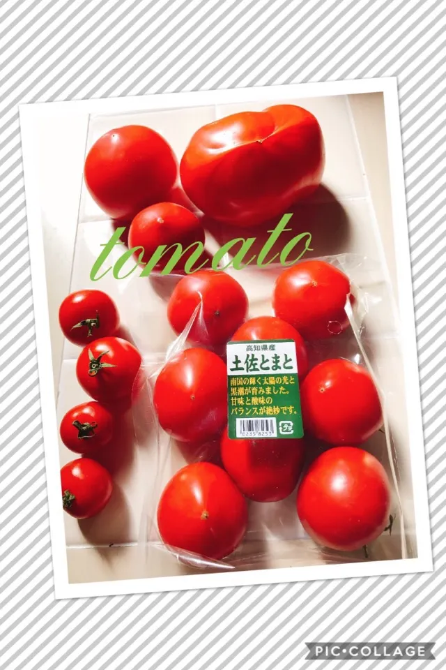 #大好きフルーツトマト🍅
島根ですが「土佐とまと」😋|みすてりあすゆっこさん