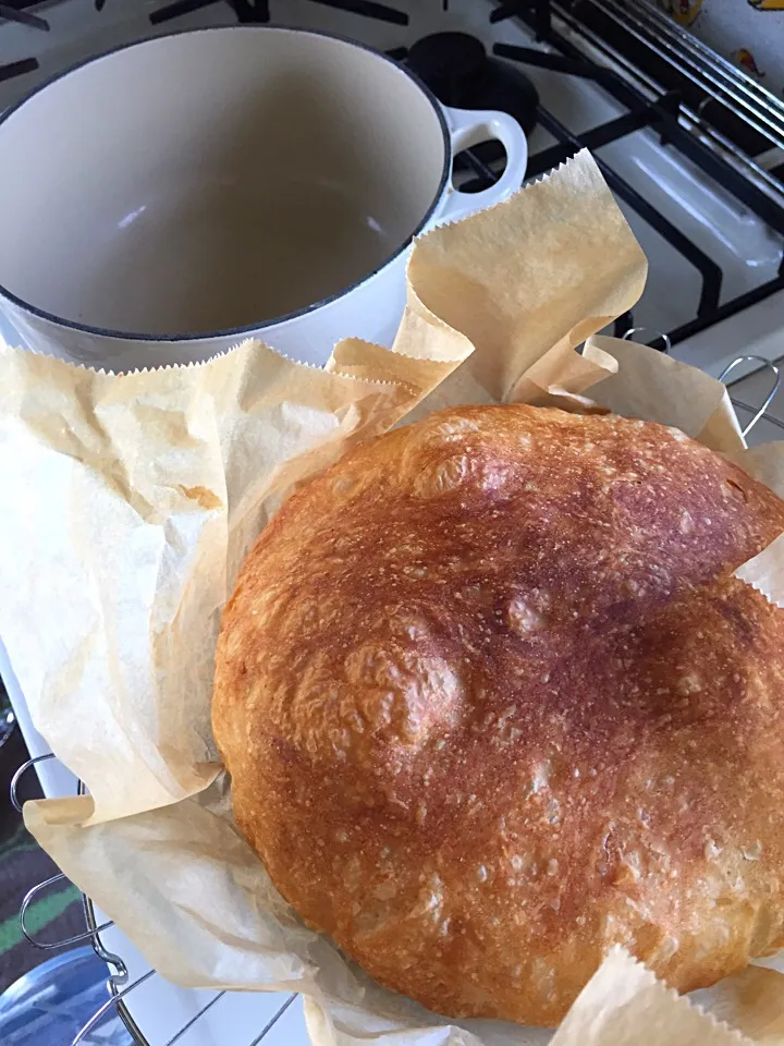 こねないパン🍞焼けました〜|チィズママさん