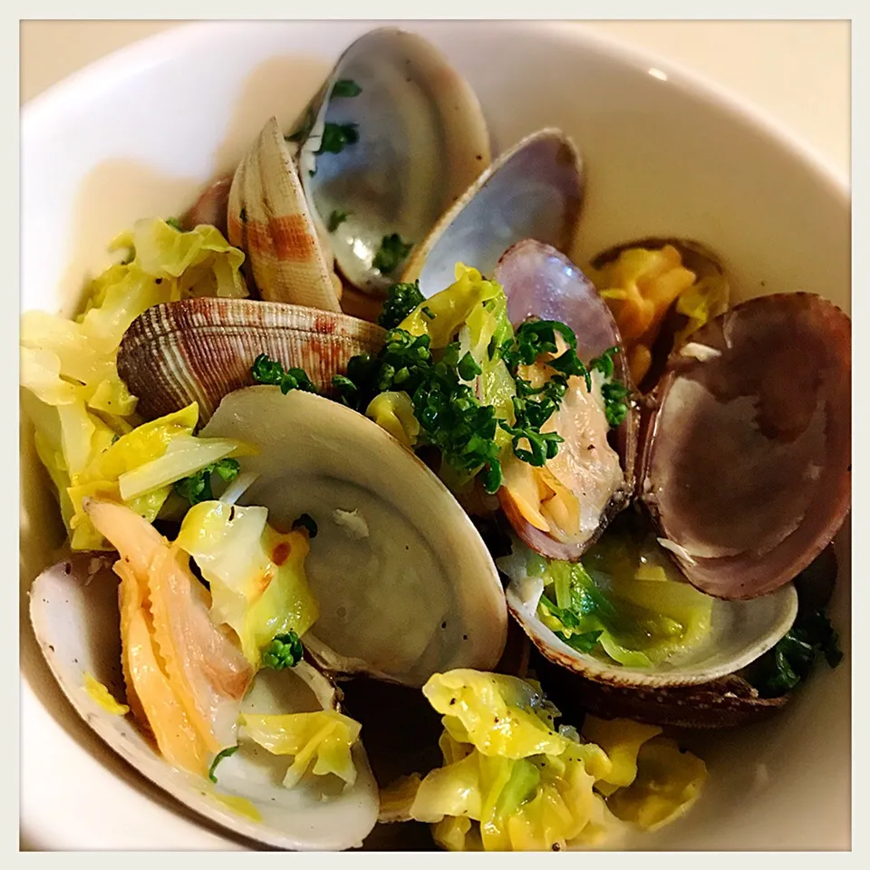 春キャベツとアサリのワイン蒸し。Short-necked clams steamed in wine with Spring cabbage|toyamadaさん