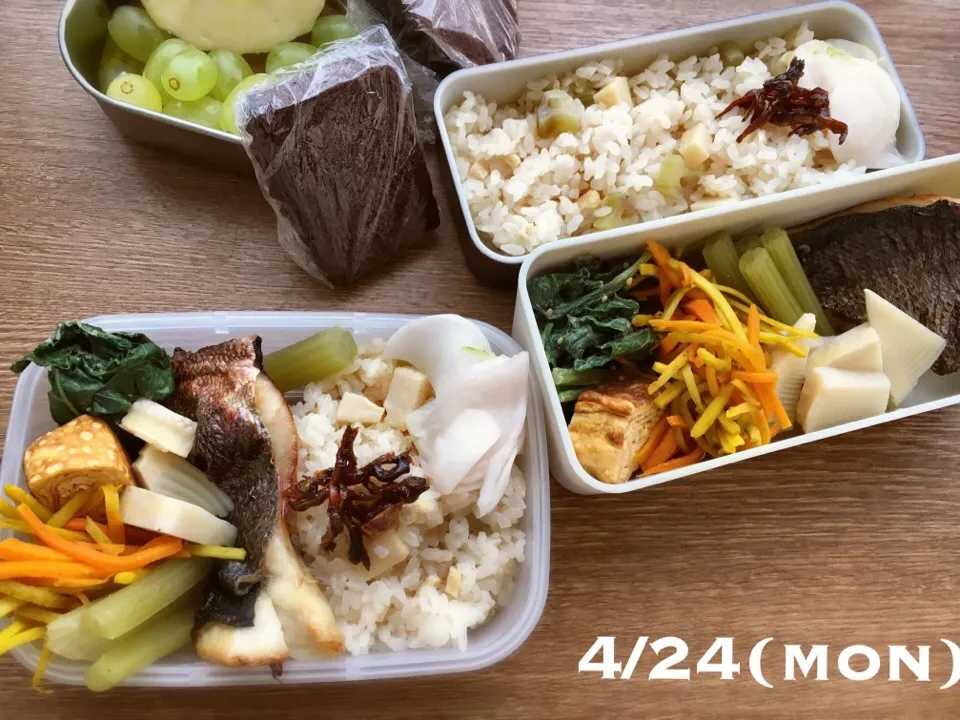 4/24 お弁当|もっちさん