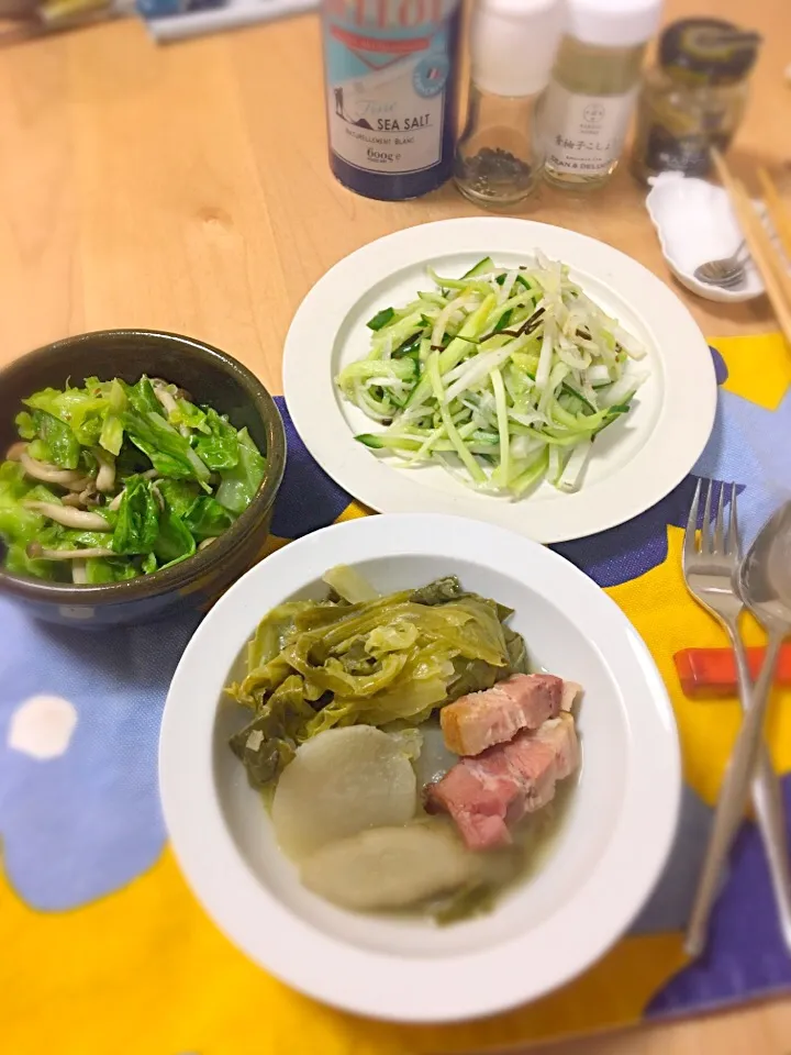 Snapdishの料理写真:野菜たっぷり晩ご飯#ポトフ#春キャベツ#千切りサラダ|CHIZUさん