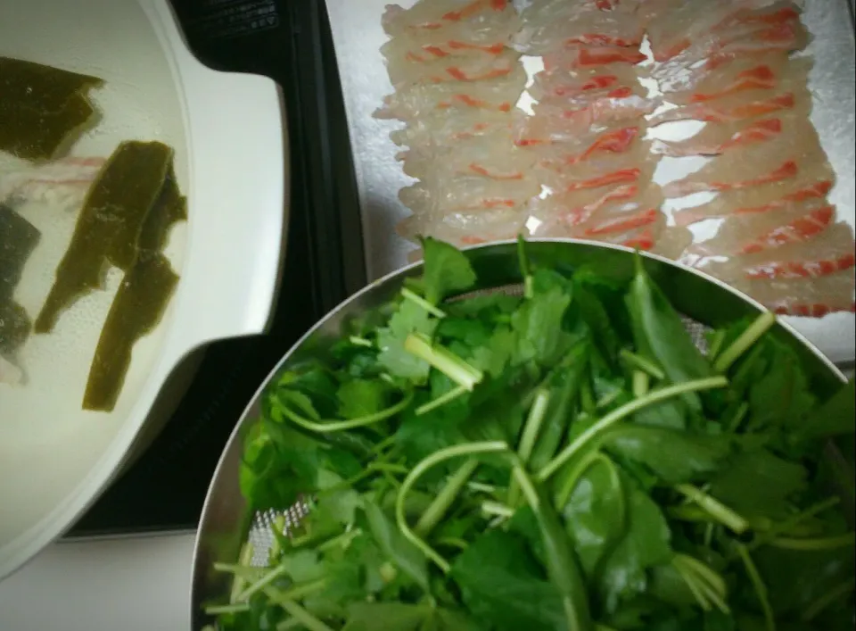 Sea Bream Shabu Shabu #三つ葉 と#鯛 の#しゃぶしゃぶ #おうちごはん #うちごはん|まめさん