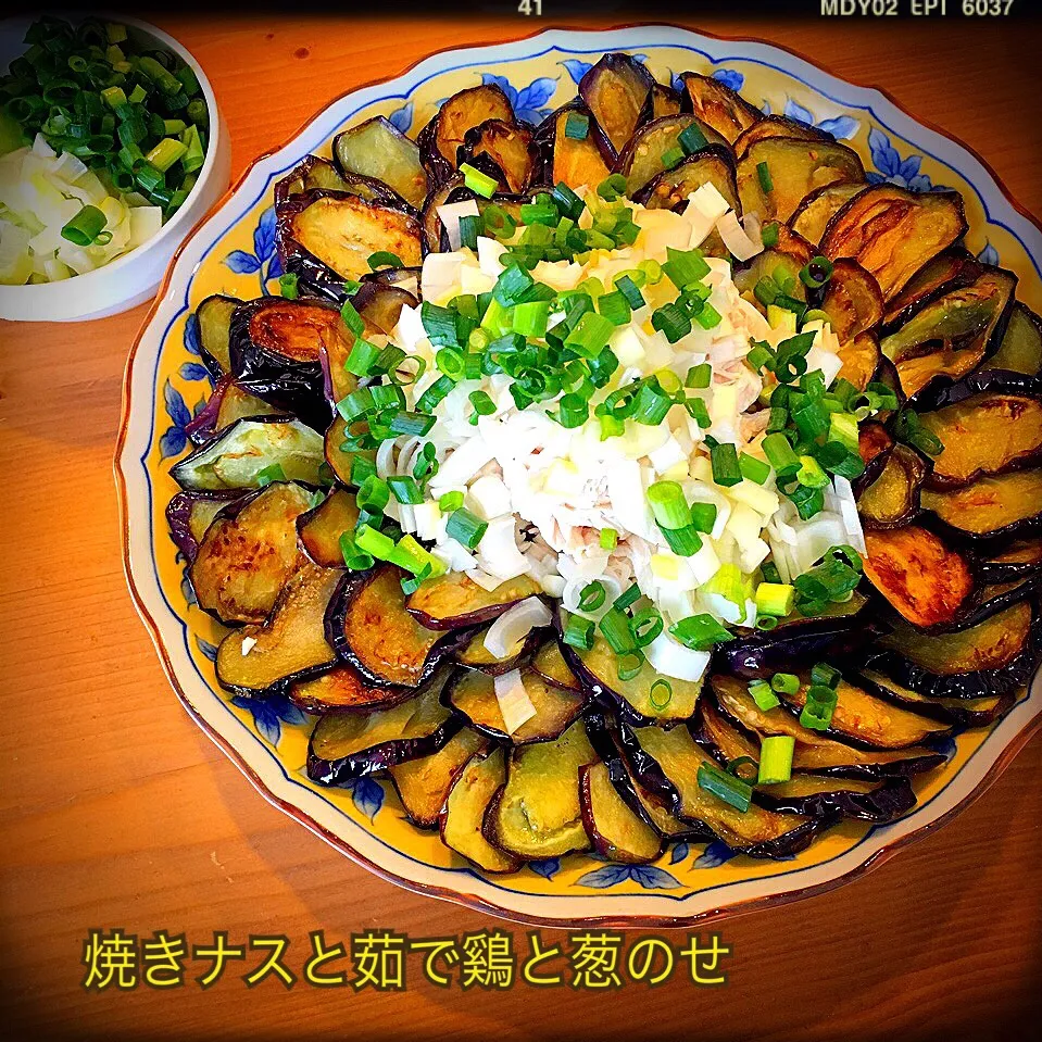 Snapdishの料理写真:ぷっくりんこ💙➰reiちゃんの焼きナスの茹で鶏と葱のせ🍆子供の頃いちばん好きだったおかず٩꒰｡•◡•｡꒱۶激リピ💕|ともきーた (伊藤 智子)さん