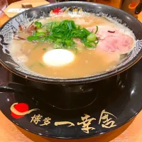 Snapdishの料理写真:博多とんこつラーメン|KAZOOOさん