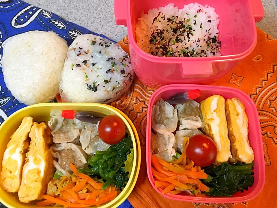 Snapdishの料理写真:☆4/27今日のお弁当☆〜今日は2人分、シュウマイ、だし巻き卵、人参しりしり、ほうれん草胡麻和え、トマト〜|Satokoさん