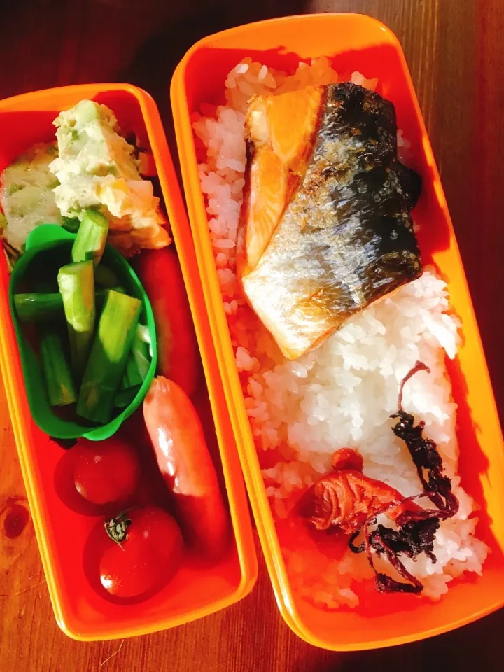 今日のお弁当#春キャベツとツナのテリーヌはレッスンから拝借 #ミニトマト #自家製梅干し #焼き鮭 #あらびきウィンナー #アスパラマヨ|料理家めーらさん