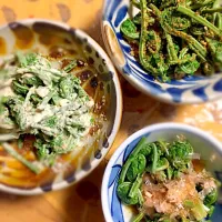 Snapdishの料理写真:こごみのおひたし、胡麻和え、胡麻マヨ|Hiroko Sasaharaさん