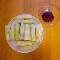 Snapdishの料理写真:Summer rolls|ハーさん