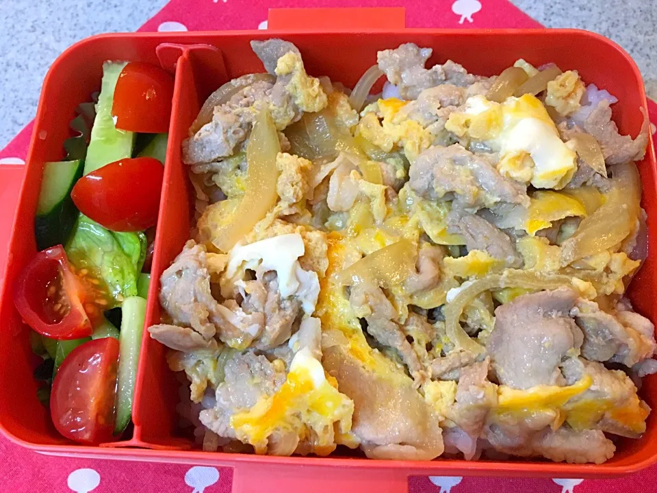 ☆4/28今日のお弁当☆〜豚丼とマリネ風サラダ〜来週はお弁当お休み(๑˃̵ᴗ˂̵)〜|Satokoさん