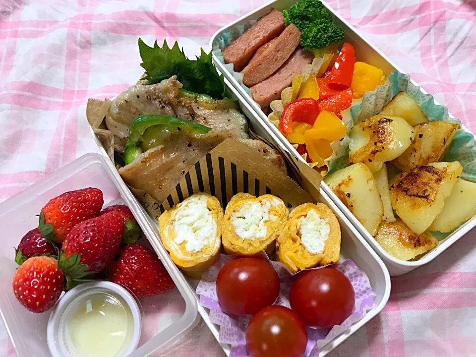 今日のお弁当。最近お米の代わりにジャガイモ🥔をリクエストされお弁当箱埋めるの大変💦 ピーマンの隙間にチーズ詰めて豚肉で巻いたのは簡単オススメ！話題の2色卵焼きは失敗したのでまたリベンジしなくちゃ！|RKさん