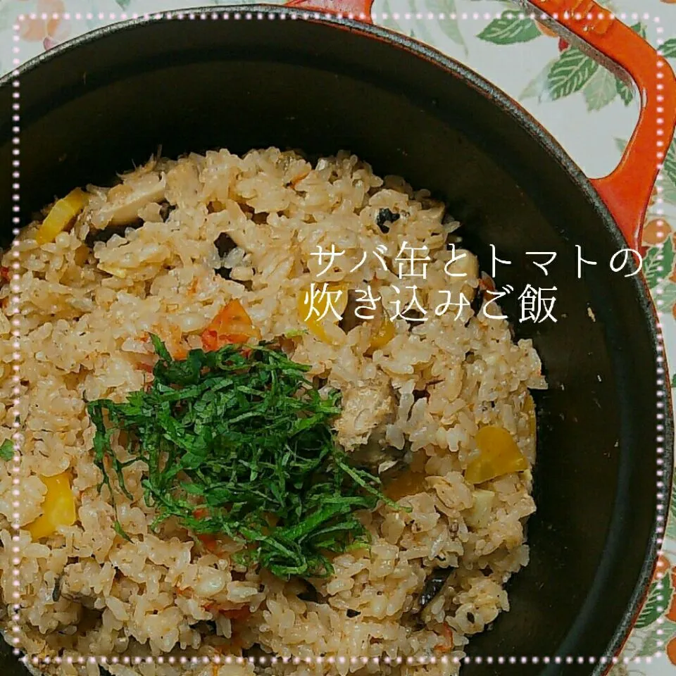 ボンバーちゃんのサバ缶🐟とまるまんま🙆トマト🍅の炊き込みご飯🍚🎶|めぐチー🌿さん