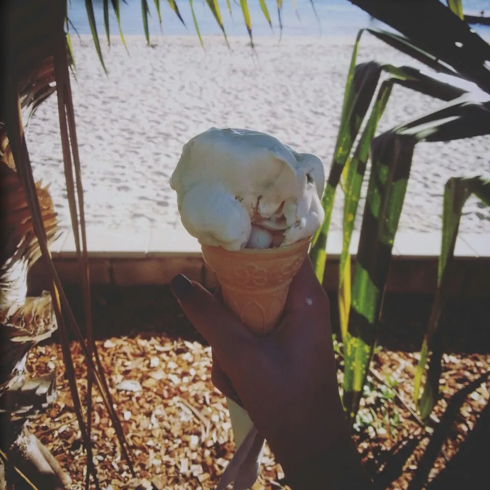 this is some yummy organic peanut butter and walnut ice-cream its great for a day at the beach comment for the recipe and you dont have to add walnuts 😘😘 love y|lily willingさん