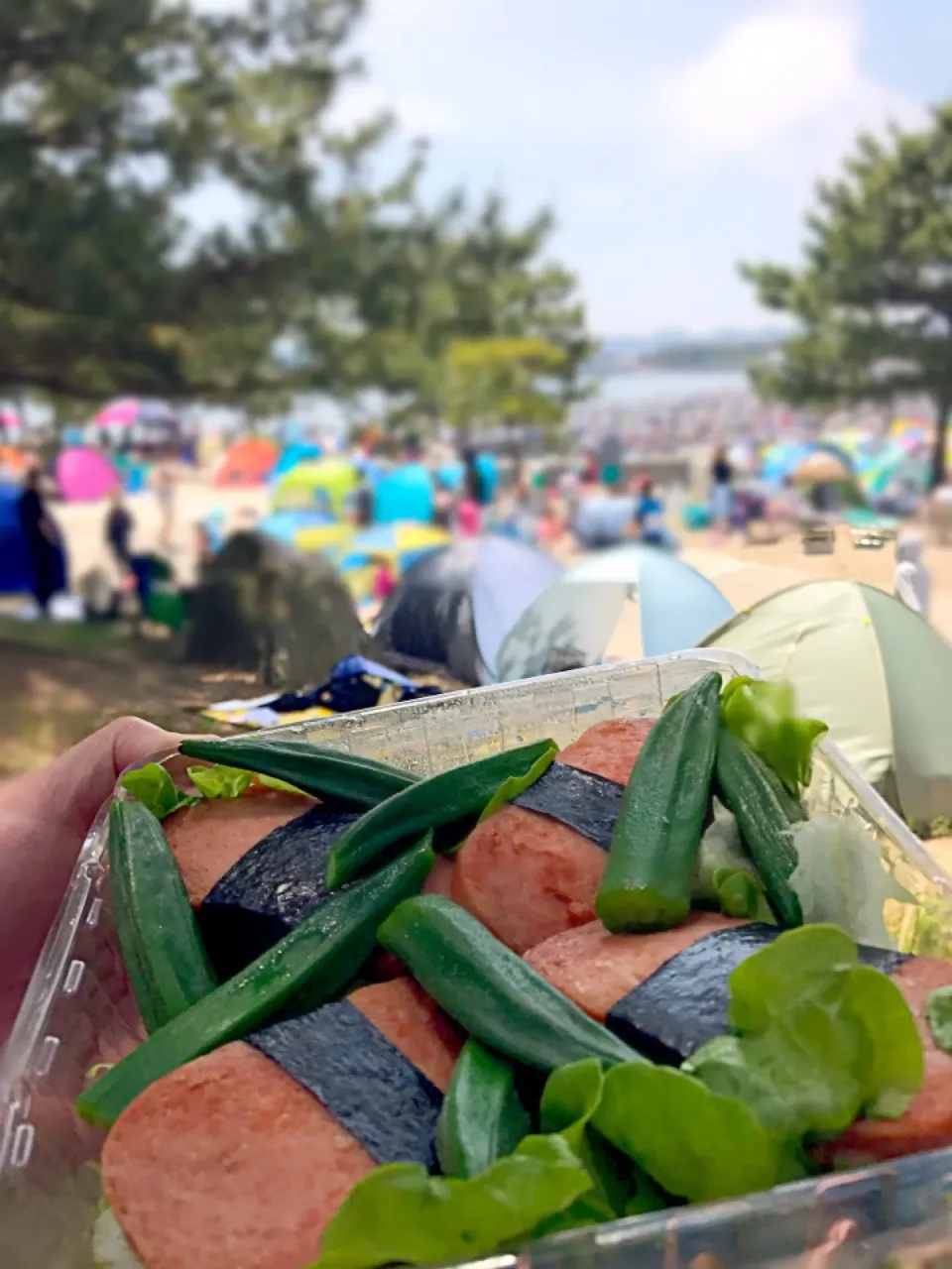 海の公園DE
スパムむすび🍙|シュトママさん