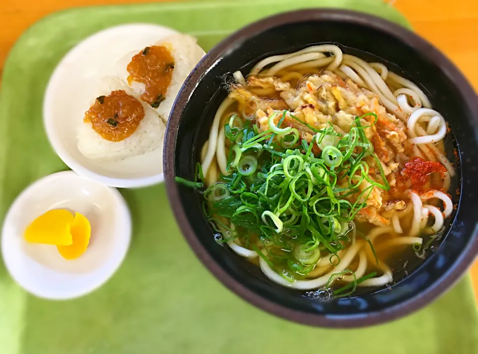 豊吉の野菜天うどん|茶一郎さん