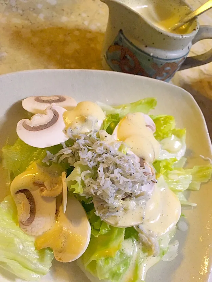 #しらす と#レタス のサラダ🥗with#手作りマヨネーズソース|MIEKO 沼澤三永子さん