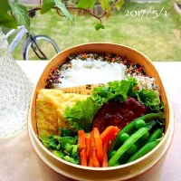 Snapdishの料理写真:息子くん弁当♪春キャベツめんつゆ和え〜〜