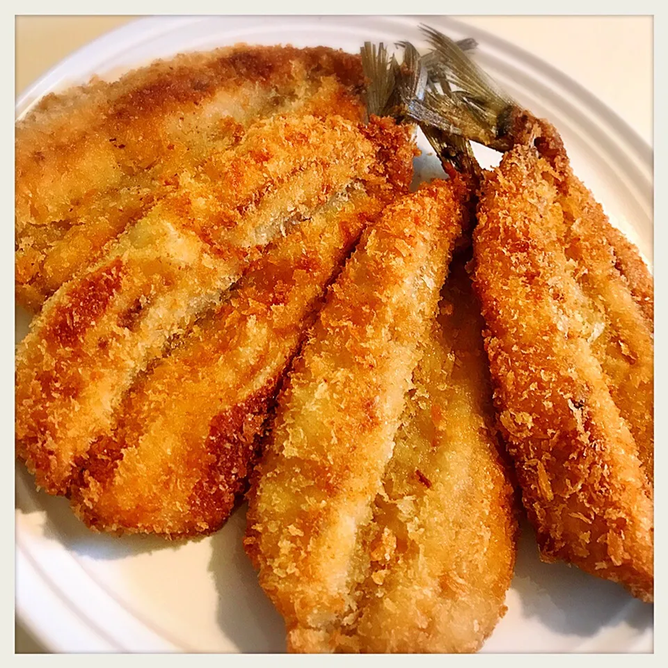 新鮮なイワシ、ふわふわ。Deep‐fried Sardines|toyamadaさん