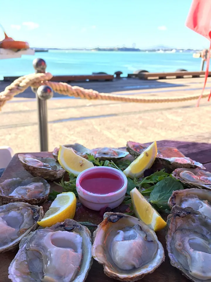 Oysters|キノコ🍄さん