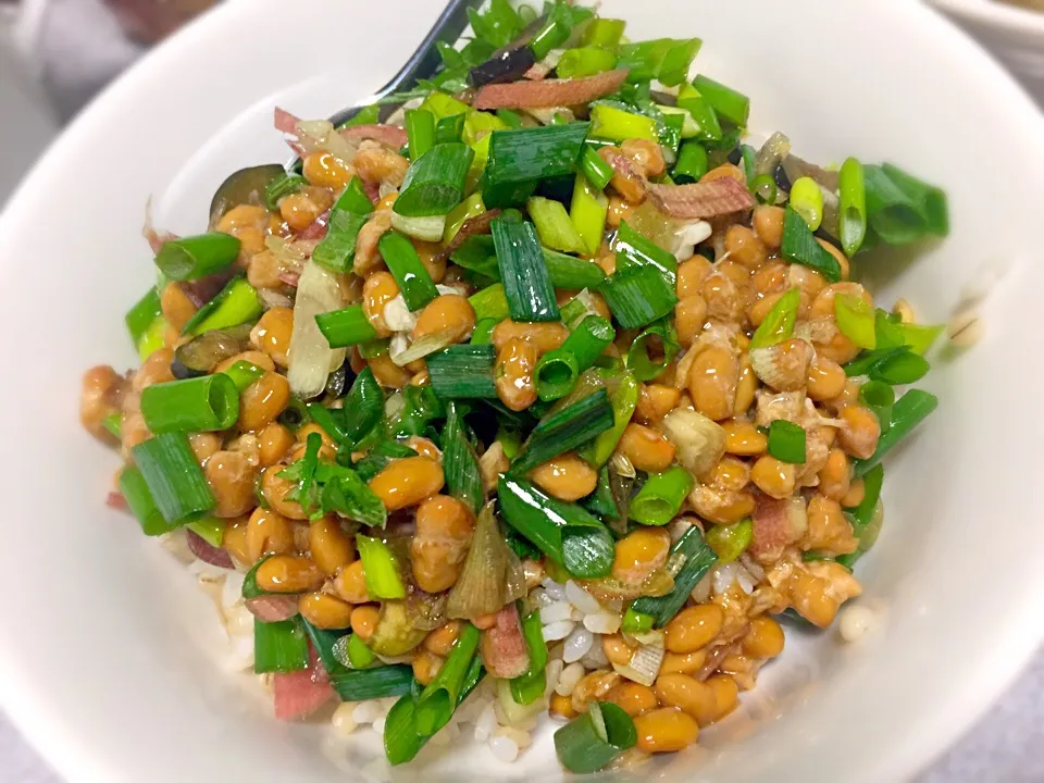 Snapdishの料理写真:薬味たっぷり納豆のもち麦飯丼|gekoさん