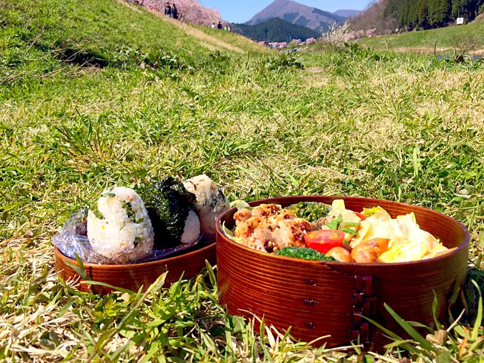 ピクニックお弁当🍙＊*|ちょこあや＊*さん