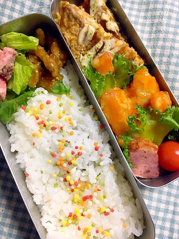 今日の長男弁当🍱|ケンケンさん