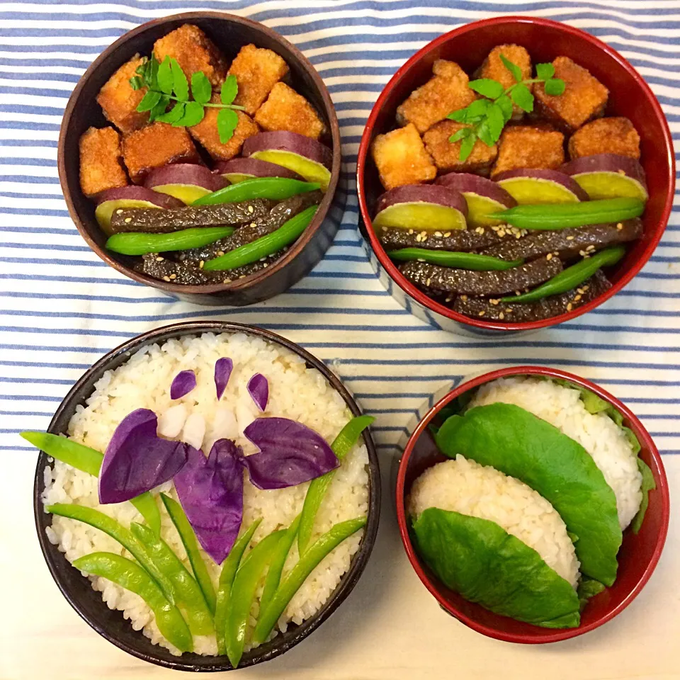 vegan弁当
菖蒲と柏餅おにぎり|makiko_aさん