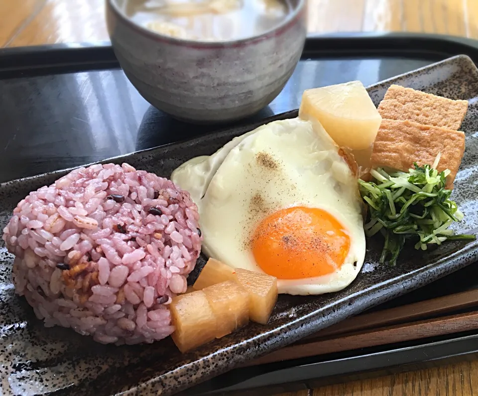 Snapdishの料理写真:単身赴任の朝ごはん  目玉焼き 厚揚げと大根の煮物 もやしナムル 大根めんつゆ漬 水菜の浅漬け 玉ねぎともやしと揚げの味噌汁 黒米麦ご飯|ぽんたさん