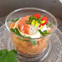 Pancotto (Italian Bread Soup) with Shrimps, Stracciatella di Burrata, Flower and Mustard Leaves|laura giardinaさん