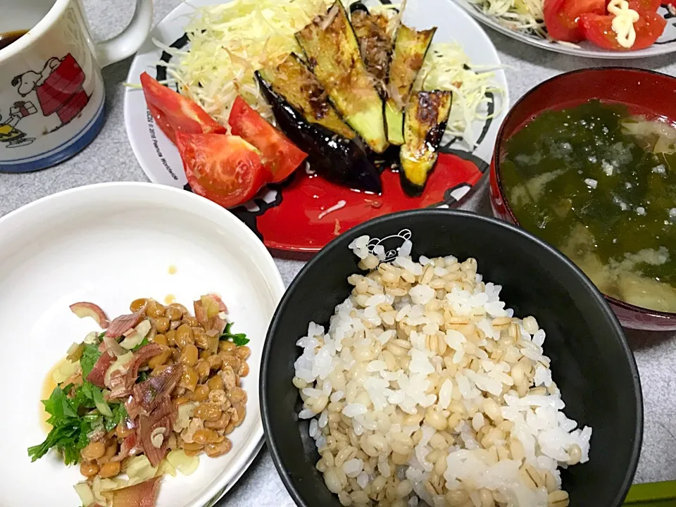 Snapdishの料理写真:もち麦飯、生姜昆布出汁焼き茄子おかか醤油かけ、しそミョーガ納豆、キャベツ、トマト、茄子大根ワカメ味噌汁|ms903さん