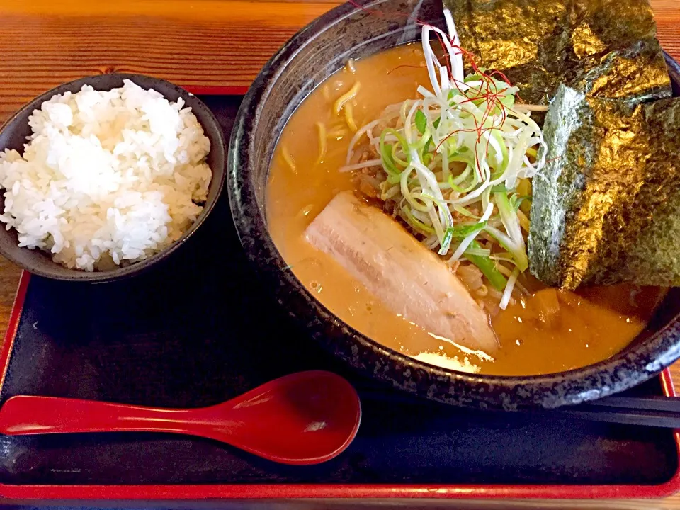 濃厚味噌ラーメン|shibazakiさん