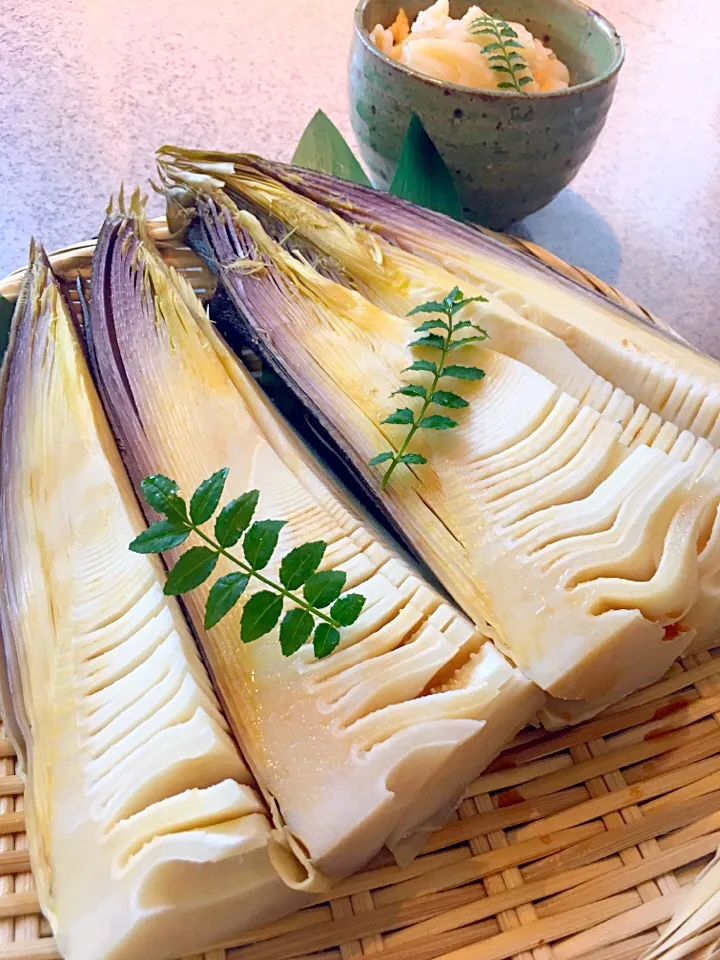 Snapdishの料理写真:焼きたけのこ✨マヨ醤油で😋|てんてんさん