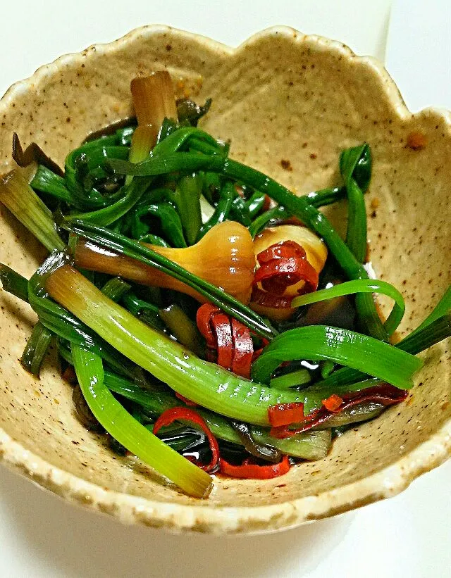 Wild rocamboles marinated with chili 
soy sauce
#ノビル のピリ辛#醤油漬け #常備菜  #つまみ #酒のつまみ|まめさん