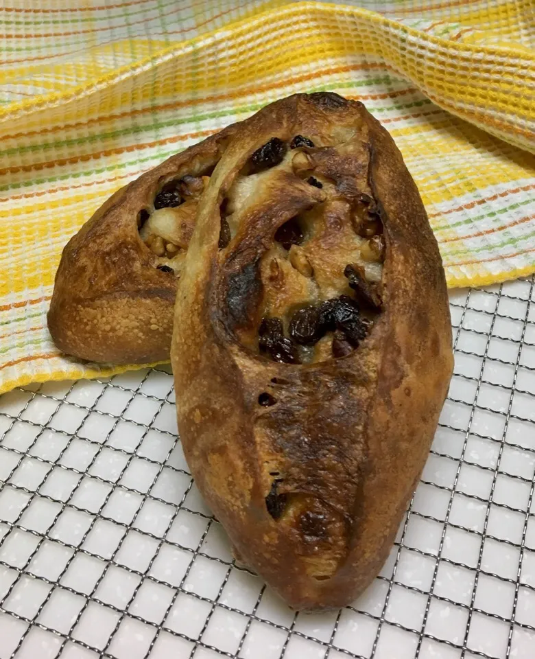 Walnut Raisin Bread|gonbenさん