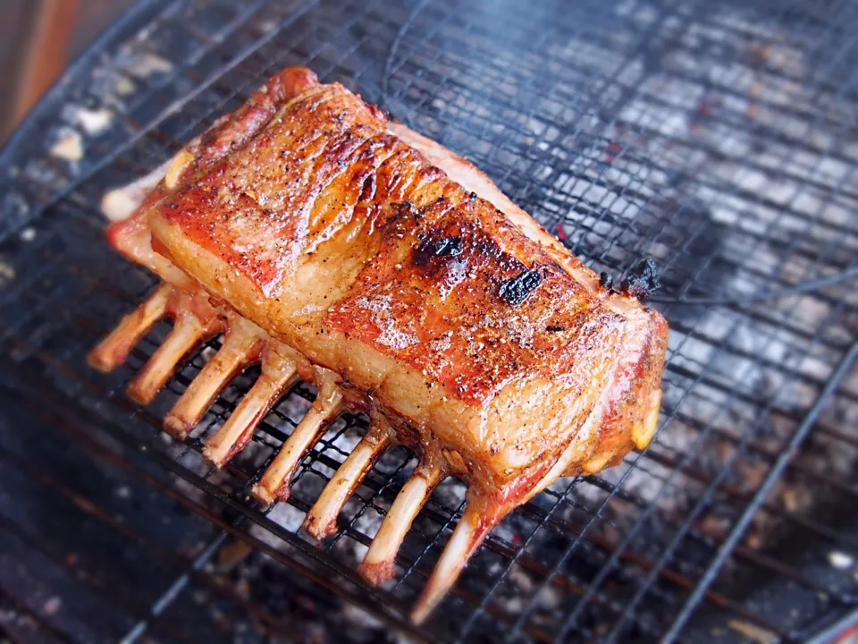 ラムラックの炭焼きロースト ♪(๑ᴖ◡ᴖ๑)♪

今季初の庭BBQ
#ラムラック #炭焼きロースト|doc3387さん