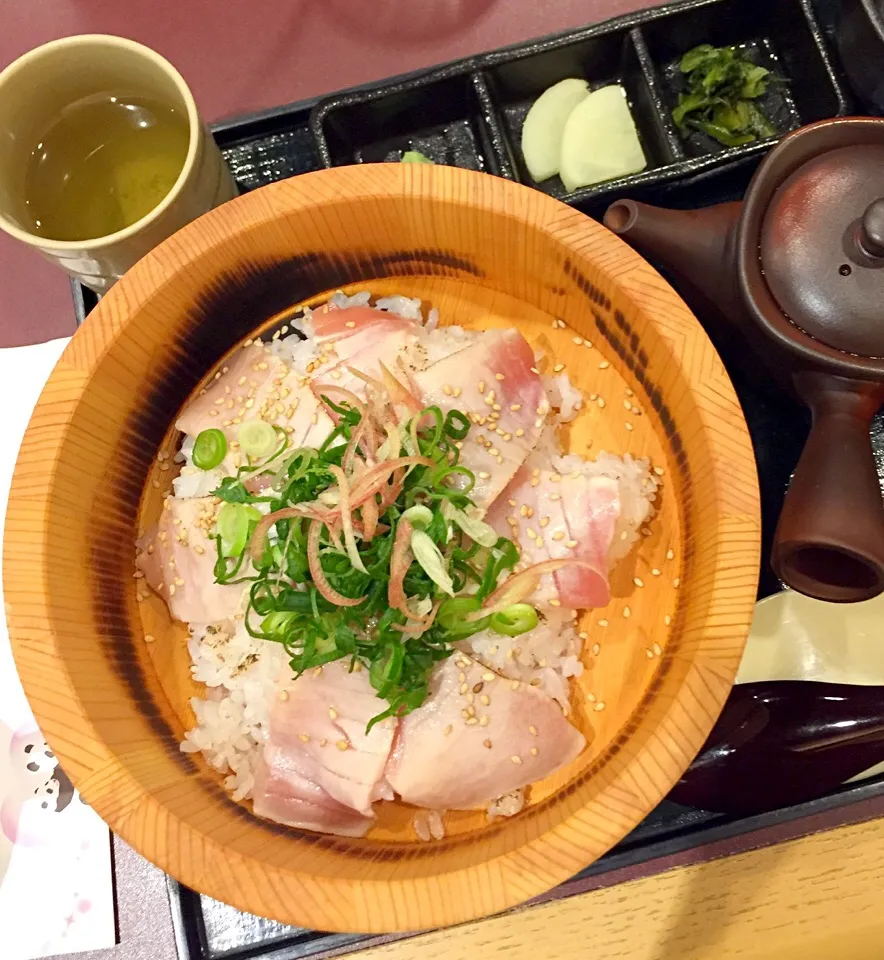 アドベンチャーワールドの丼亭
マグロ炙りおひつご飯|masakoさん