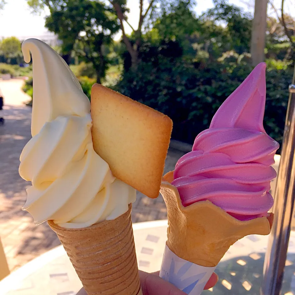 チーズソフトと薔薇ソフト🌹|ヨッチャンさん