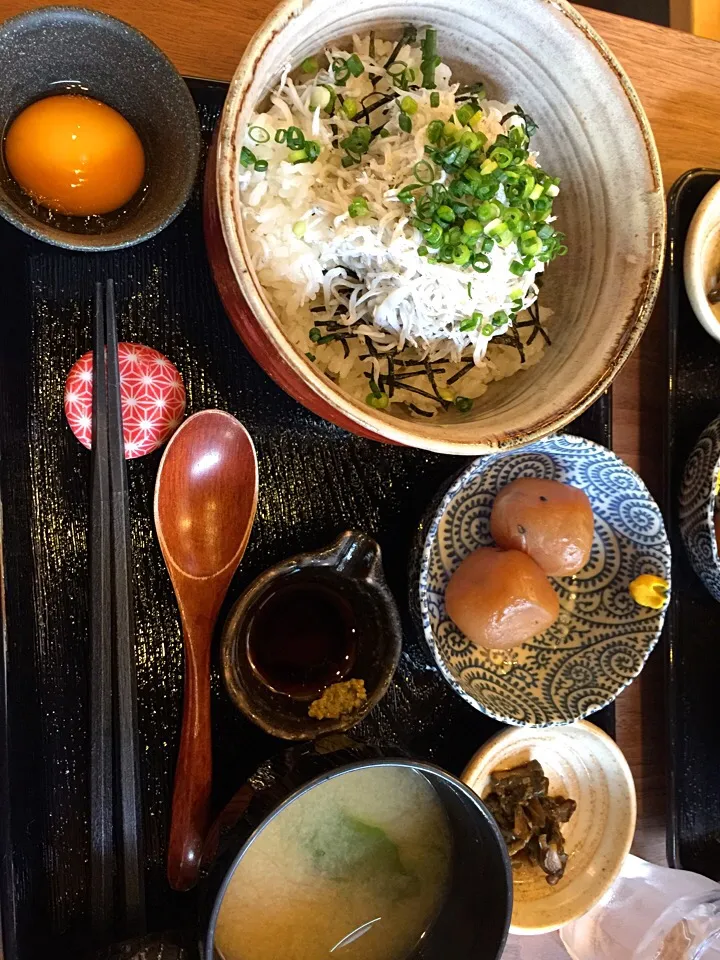 Shirasu with sardines of young fish|Alex Barrionさん