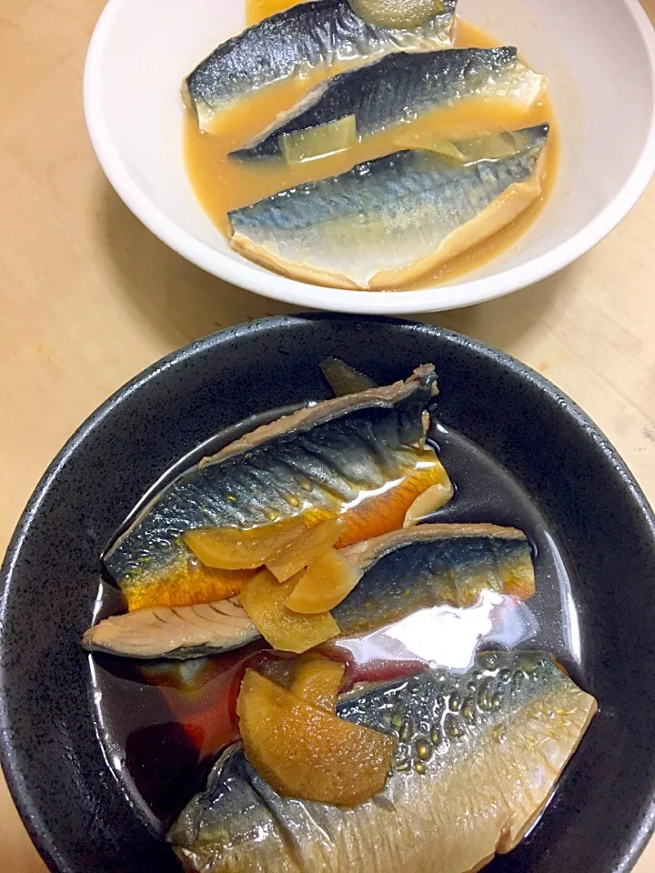 釣りバカ親父の
初サバ！
味噌煮、醤油煮|abekoさん