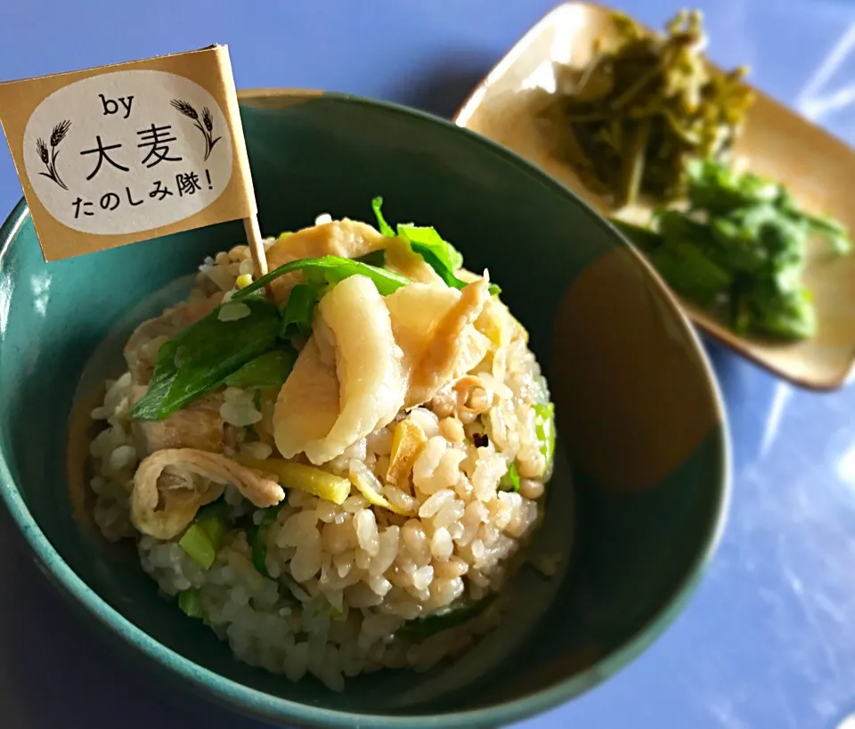 昼ごはん  もち麦入りごはん🌾で、ネギ塩豚炒飯|砂雪さん