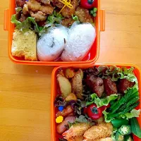 Snapdishの料理写真:行楽弁当🍙|maimaiさん