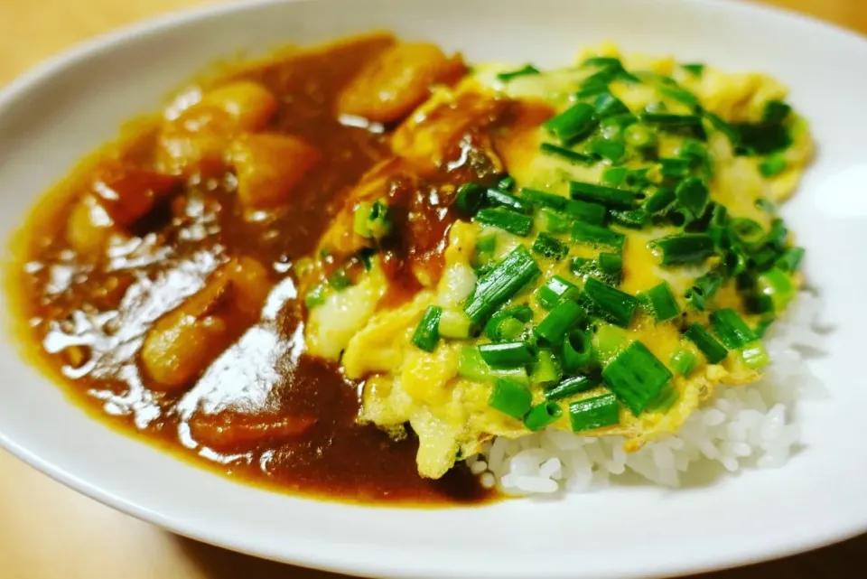 チーズオムレツカレー。やはりカレーは二日目がうまい|cookingパパ五郎さん