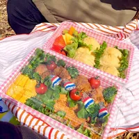 Snapdishの料理写真:🌸初お花見弁当🌸|せんさん