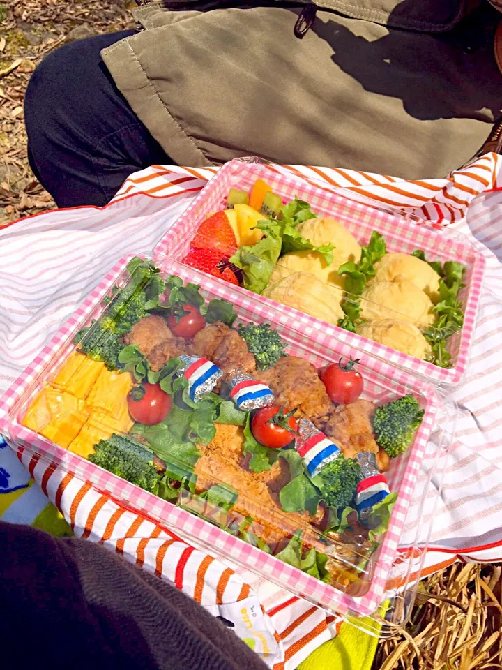 Snapdishの料理写真:🌸初お花見弁当🌸|せんさん