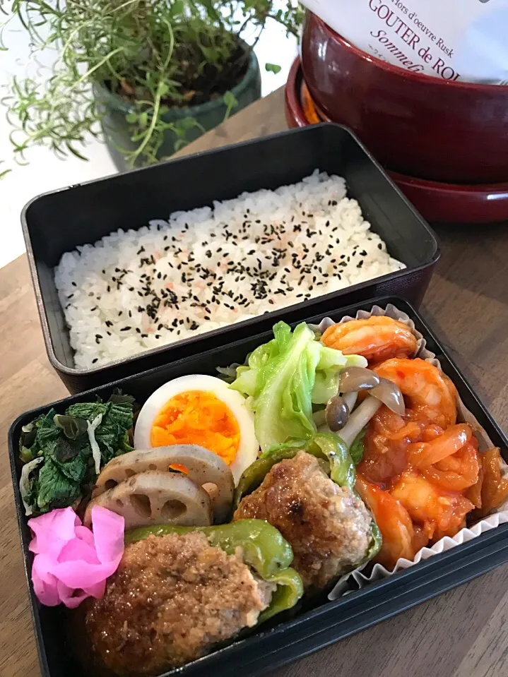 エビチリ弁当|二キィさん