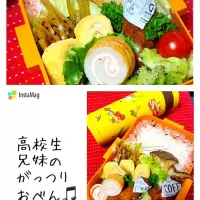 Snapdishの料理写真:高校生兄妹のがっつりおべん♪