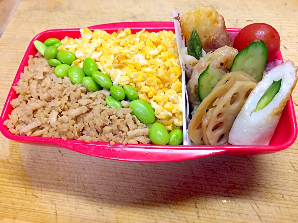 女子高生#お弁当#そぼろ弁当#二色弁当|Eriko  Naraさん