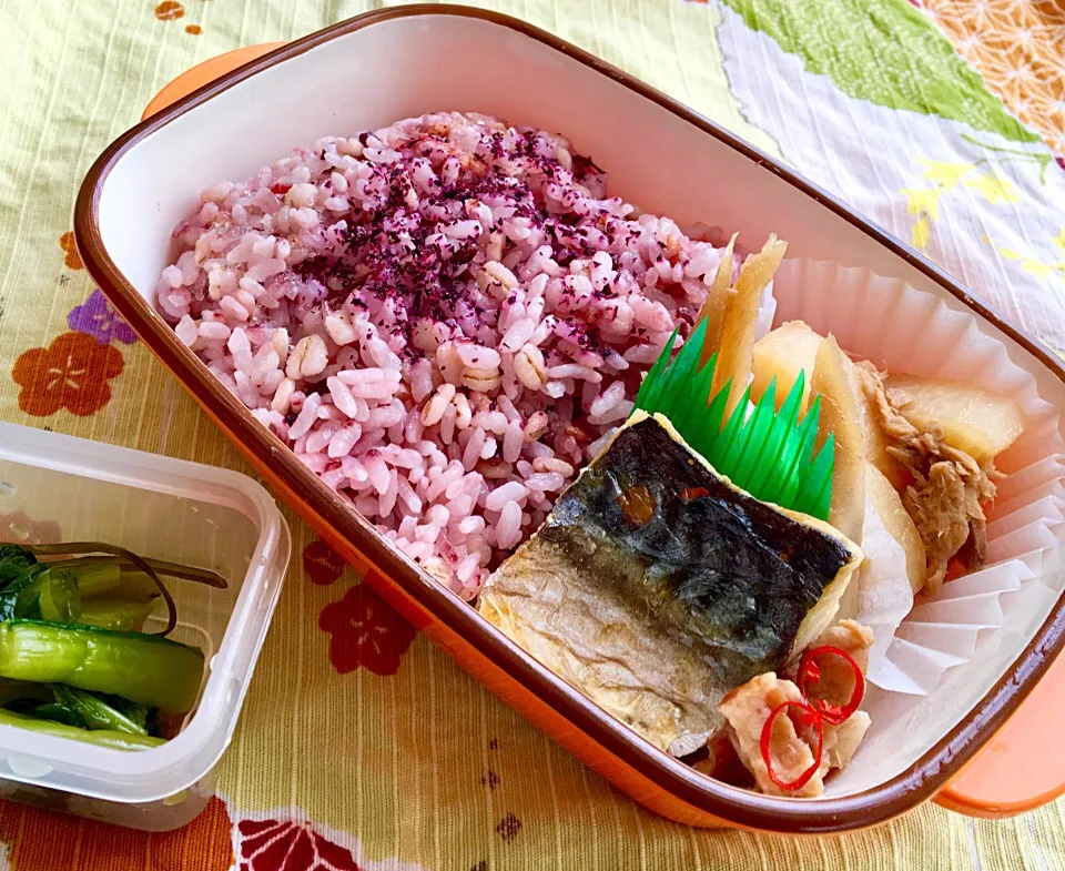 単身赴任の昼ごはんお昼  焼き塩鯖弁当
焼き鯖🐟
大根とツナの煮物
ベーコンごぼう🥓
野沢菜漬け
黒米麦ご飯、ゆかり
わかめととろろ昆布のおつゆ|ぽんたさん