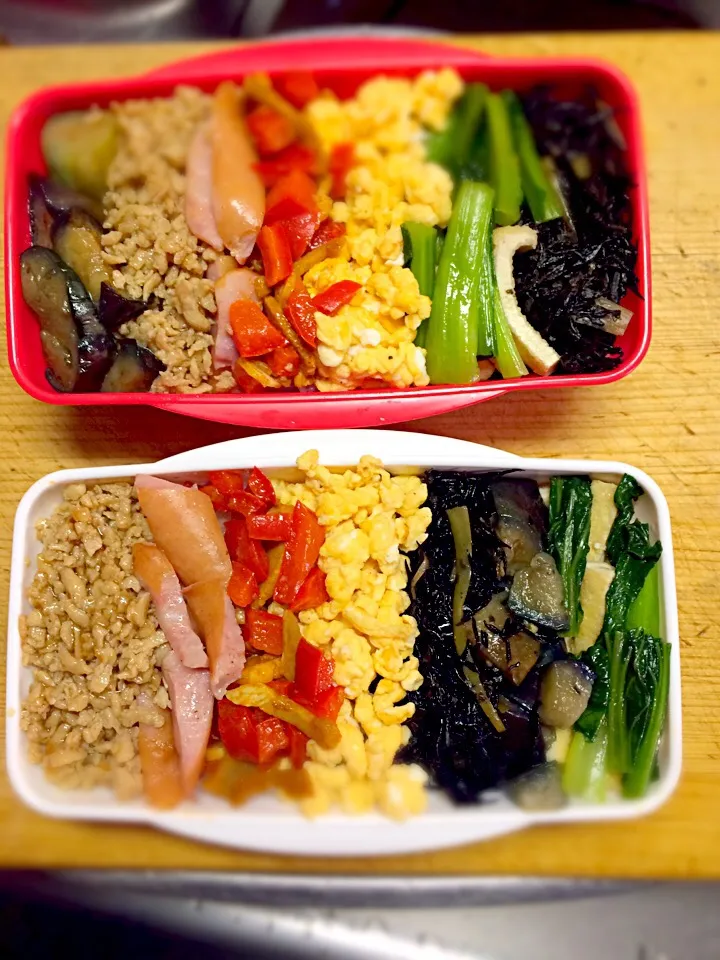 Snapdishの料理写真:女子高生#お弁当#そぼろ弁当#二人分#なす#小松菜 #たまご #パプリカ#ウインナー|Eriko  Naraさん