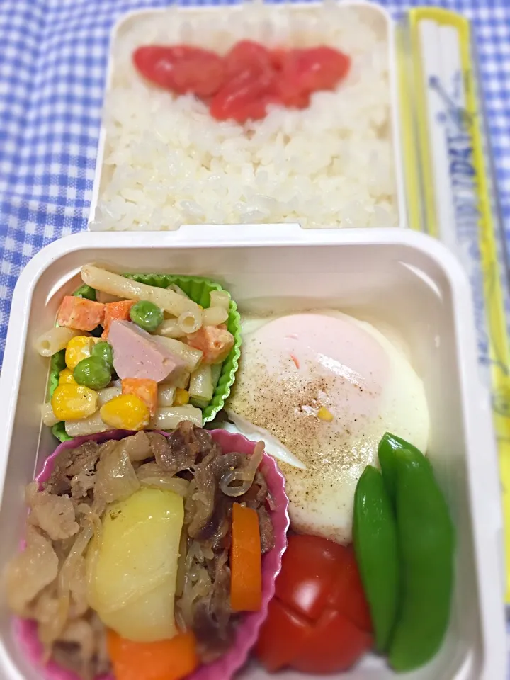 5月9日 肉じゃが弁当🍱😋 マカロニサラダ ハムエッグ|かよっぺさん