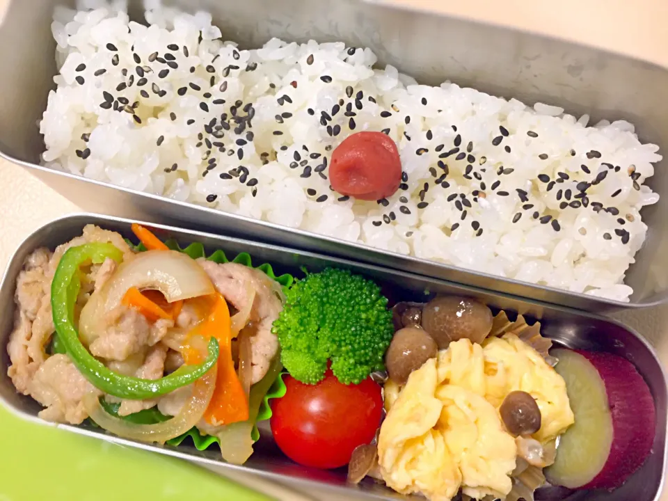 本日のパパ弁☆豚のしょうが焼き、しめじと卵炒め、さつまいも煮
#パパ弁当 #お弁当記録 #オール手作り #しょうが焼き #卵料理 #二段弁当|えまみーさん